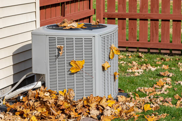 Best HVAC tune-up services  in Barry, IL